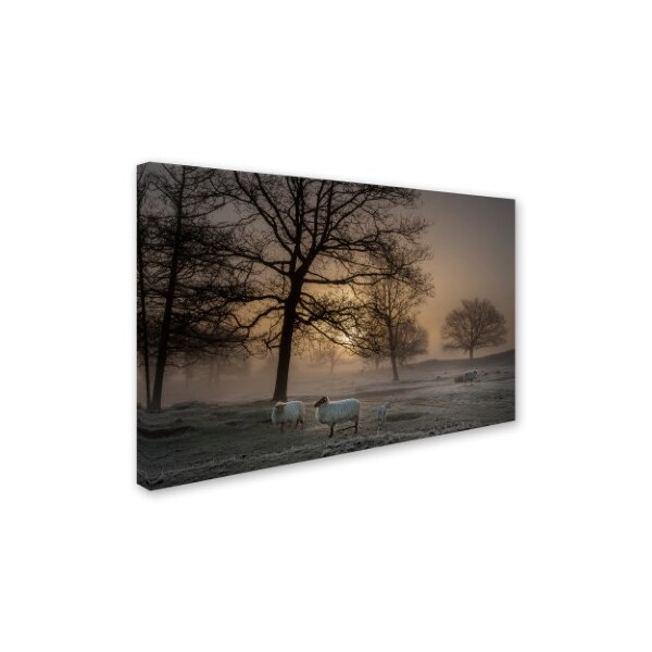 Piet Haaksma 'Foggy Morning' Canvas Art,16x24